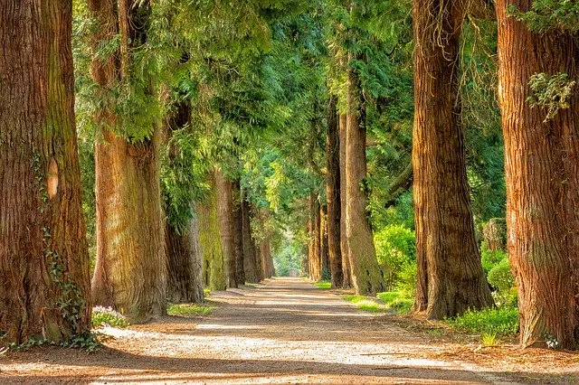 Podróż do Zagrzebia